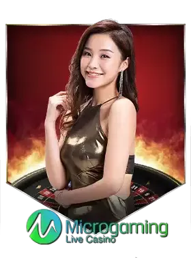 micro casino
